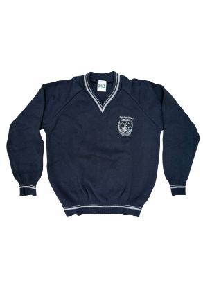 Picture of Gimmies Long Sleeve V-Neck jersey